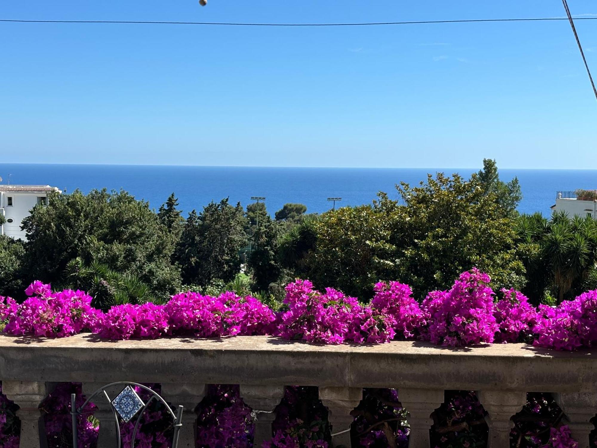 Luxury House In Villa Pompeiana Via Camerelle Con Terrazza Vista Mare カプリ エクステリア 写真